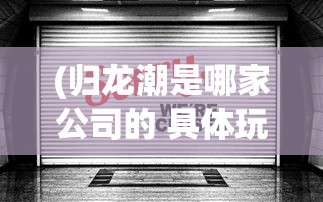 (归龙潮是哪家公司的 具体玩法介绍)归龙潮背后的公司，揭秘与探索