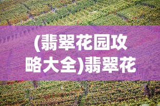 (翡翠花园攻略大全)翡翠花园攻略2.0版，深度探索与常见问题解答