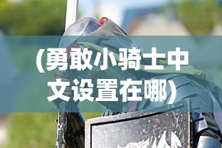 (勇敢小骑士中文设置在哪)勇敢小骑士游戏中文设置指南