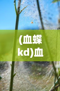 (血蝶kd)血蝶之蛹，神秘现象与生态之谜