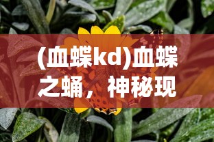 (用心组装下载)用心组装完整版游戏，免费体验的全面指南