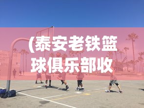 (泰安老铁篮球俱乐部收费)泰安老铁篮球俱乐部，篮球热血的聚集地