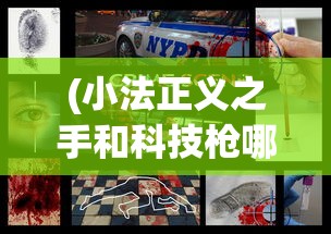 (小法正义之手和科技枪哪个好)小法正义之手与科技枪，未来法治的两大支柱