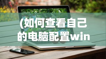(如何查看自己的电脑配置win10)如何查看自己的电脑配置，从入门到精通的全方位指南