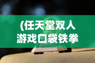 (任天堂双人游戏口袋铁拳怎么玩)任天堂双人游戏口袋铁拳，热血格斗的绝佳体验