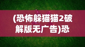 (恐怖躲猫猫2破解版无广告)恐怖躲猫猫2，深度解析与游戏指南