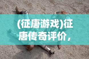 (幻灵师加点)幻灵师现在改名叫什么，探寻新名称背后的故事与意义
