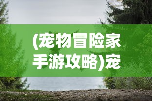 (宠物冒险家手游攻略)宠物冒险家手游，探索未知世界的宠物冒险之旅