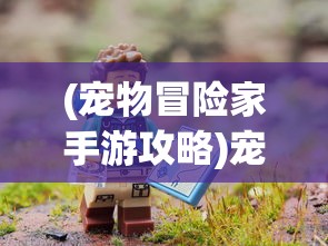 (宠物冒险家手游攻略)宠物冒险家手游，探索未知世界的宠物冒险之旅