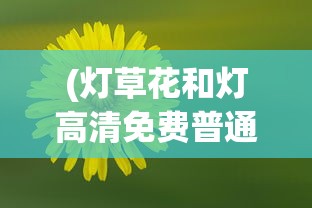 (灯草花和灯高清免费普通话版为删减版)灯草花与灯，高清免费普通话版之下的深度解读