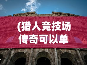 (猎人竞技场传奇可以单机吗)猎人竞技场传奇，单机与多人模式的探索