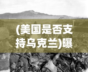 (美国是否支持乌克兰)曝美允许乌用美武器袭击俄，背后的复杂因素与全球影响分析