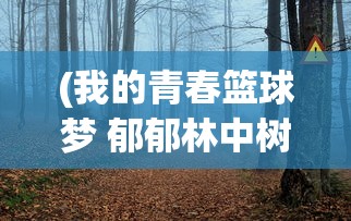 (我的青春篮球梦 郁郁林中树)我的青春篮球梦2，热血、挑战与成长