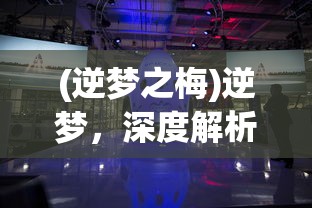 (逆梦之梅)逆梦，深度解析与探索