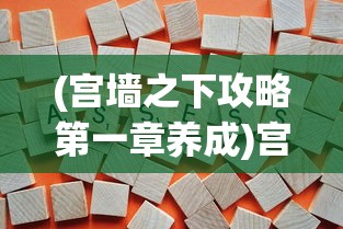 (宫墙之下攻略第一章养成)宫墙之下攻略，全面解析游戏关卡与策略