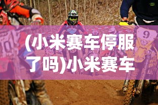 (小米赛车停服了吗)小米赛车现在还能玩吗，游戏状态与玩家体验探讨