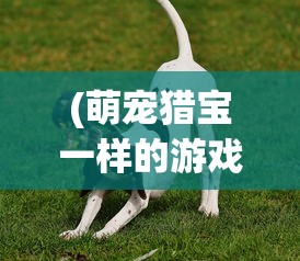 (萌宠猎宝一样的游戏叫什么)萌宠猎宝，一场别开生面的游戏冒险之旅
