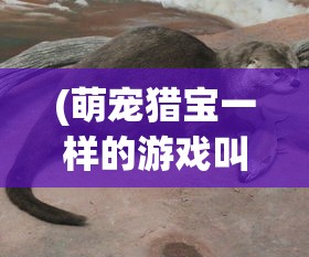 (寻龙英雄游戏)寻龙英雄装备位置图解大全，攻略与常见问题解答