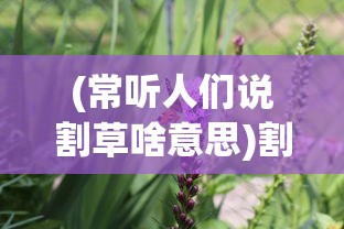 (常听人们说割草啥意思)割草的含义深度解析