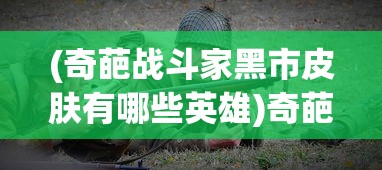 (奇葩战斗家黑市皮肤有哪些英雄)奇葩战斗家黑市皮肤全解析