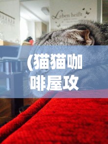(手游折扣平台)三国志幻想大陆0.1折优惠活动深度解析与常见问题解答