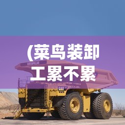 (菜鸟装卸工累不累)菜鸟装卸，操作技巧、常见问题及解决方案