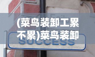 (菜鸟装卸工累不累)菜鸟装卸，操作技巧、常见问题及解决方案