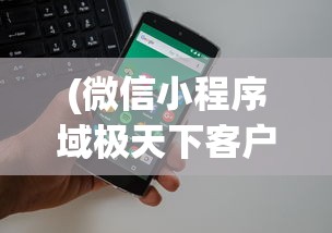 (微信小程序域极天下客户端)微信小程序域极天下，探索其功能与前景