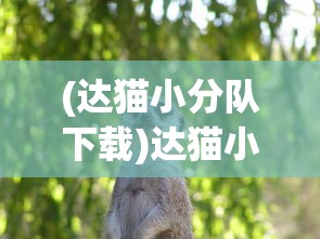 (达猫小分队下载)达猫小分队爪游宝，游戏探险的新伙伴