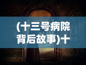 (十三号病院背后故事)十三号病院，深度解析其背后的故事