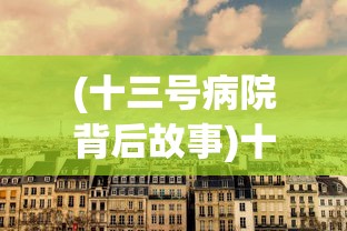 (十三号病院背后故事)十三号病院，深度解析其背后的故事