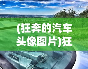 (狂奔的汽车头像图片)狂奔的汽车，速度与激情的交织