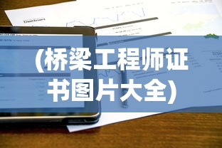(桥梁工程师证书图片大全)桥梁工程师证，专业认证与职业发展的桥梁通行证
