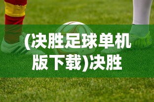 (决胜足球单机版下载)决胜足球单机版，游戏解析与常见问题解答