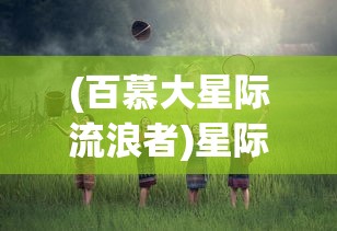 (百慕大星际流浪者)星际流浪者的神秘之旅
