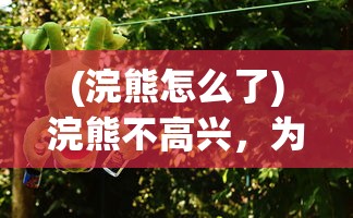 (浣熊怎么了)浣熊不高兴，为何停运了？