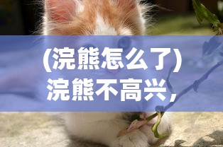 (漫威超级争霸战为什么下架了,还会不会再上架)揭秘漫威超级争霸战下架原因，多重因素交织导致游戏终结