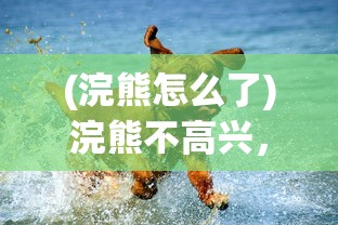 (浣熊怎么了)浣熊不高兴，为何停运了？