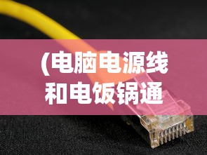 (电脑电源线和电饭锅通用吗怎么接)电脑电源线和电饭锅通用吗，解析电源线的通用性与专用性