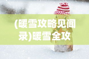 (暖雪攻略见闻录)暖雪全攻略，从入门到精通的全方位指南
