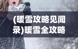 (暖雪攻略见闻录)暖雪全攻略，从入门到精通的全方位指南