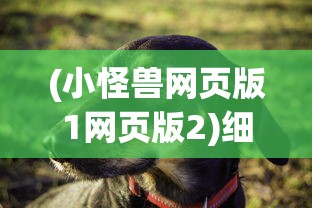 (小怪兽网页版1网页版2)细狗小怪兽网页版2，全新体验与独特魅力