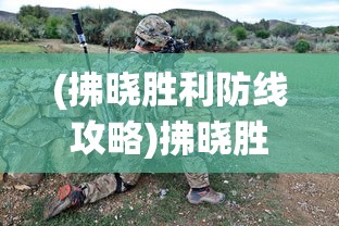 (拂晓胜利防线攻略)拂晓胜利之刻，一场决定命运的战役回顾