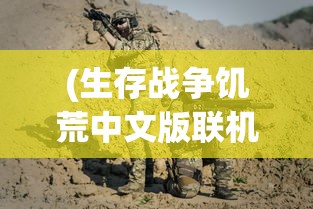 (生存战争饥荒中文版联机版)生存战争饥荒中文版，生存策略与冒险之旅的完美结合