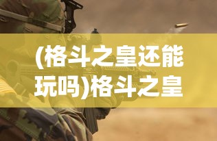 (格斗之皇还能玩吗)格斗之皇，当下可玩的版本概述及现状分析