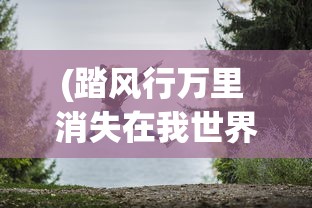 (踏风行万里 消失在我世界里)踏风行万里，一场关于冒险与探索的旅程