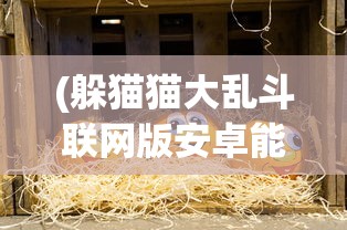 (躲猫猫大乱斗联网版安卓能玩吗)躲猫猫大乱斗联网版，多人欢乐乱斗的新纪元