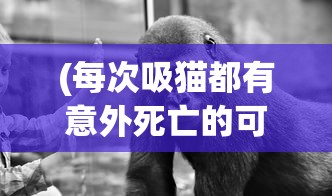 (化工仪表缩写)代号WT在化工仪表中的含义及应用探讨
