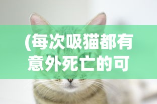 (每次吸猫都有意外死亡的可能吗)每次吸猫都有意外死亡，关于人与猫互动中的安全隐患探讨