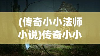 (传奇小小法师小说)传奇小小法师，神秘世界的勇者之路